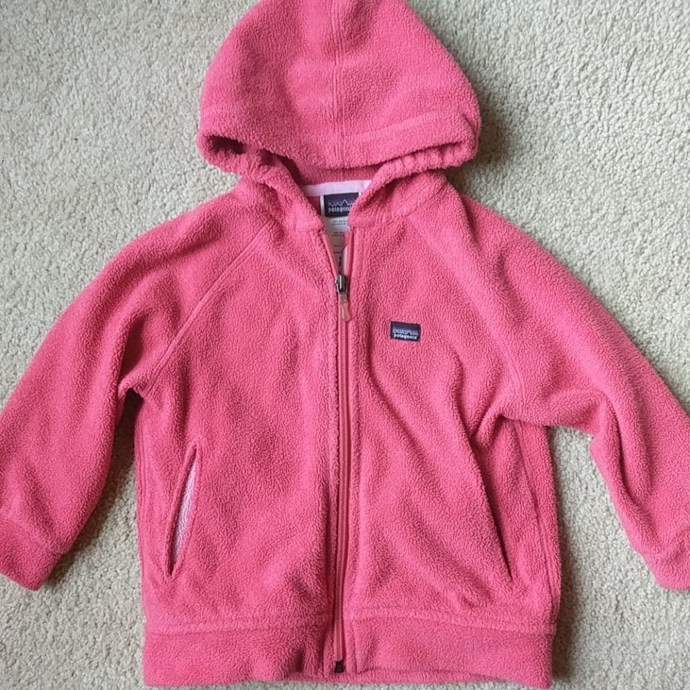 Patagonia fleece jacket